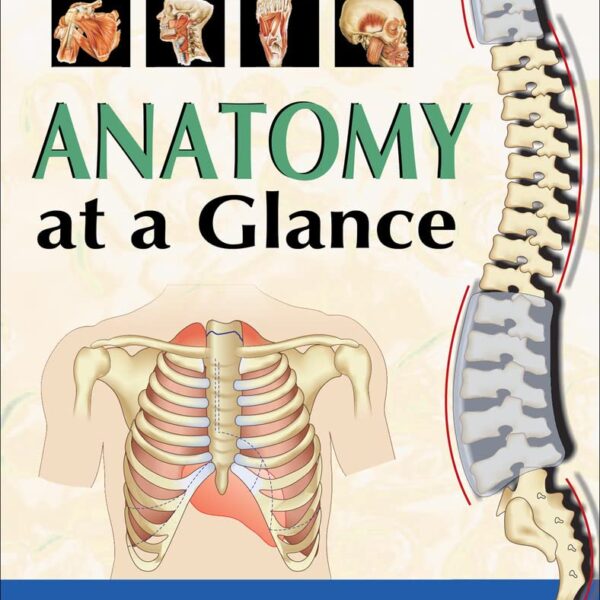 Anatomy at a Glance