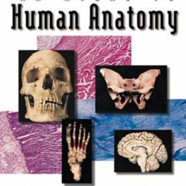 An Atlas To Human Anatomy