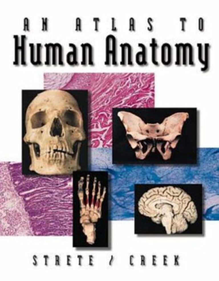 An Atlas To Human Anatomy