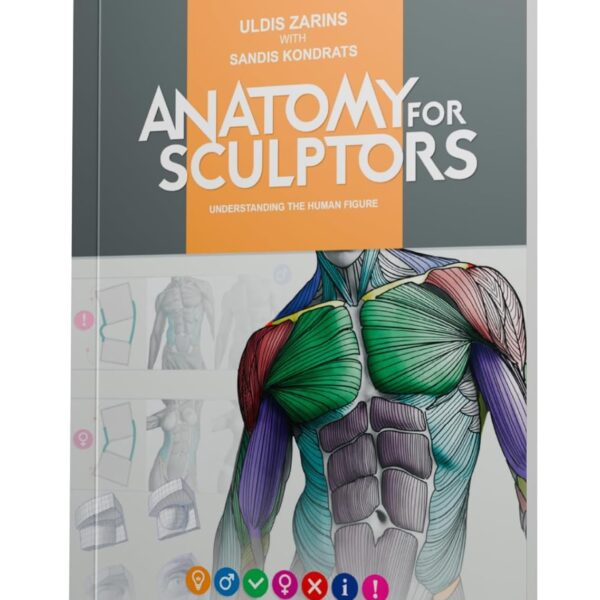 Anatomy For Sculptors, Understanding the Human Figure