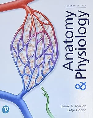 Anatomy & Physiology 7th Edition